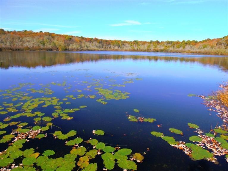 50 Circle Drive Barnstable MA 02601