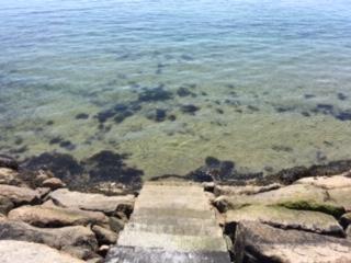 24 Salt Pond Road Chatham MA 02650