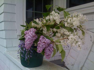 234 Old Main Street Yarmouth MA 02664