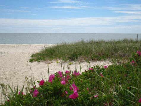 733 West Main Street Barnstable MA 02601