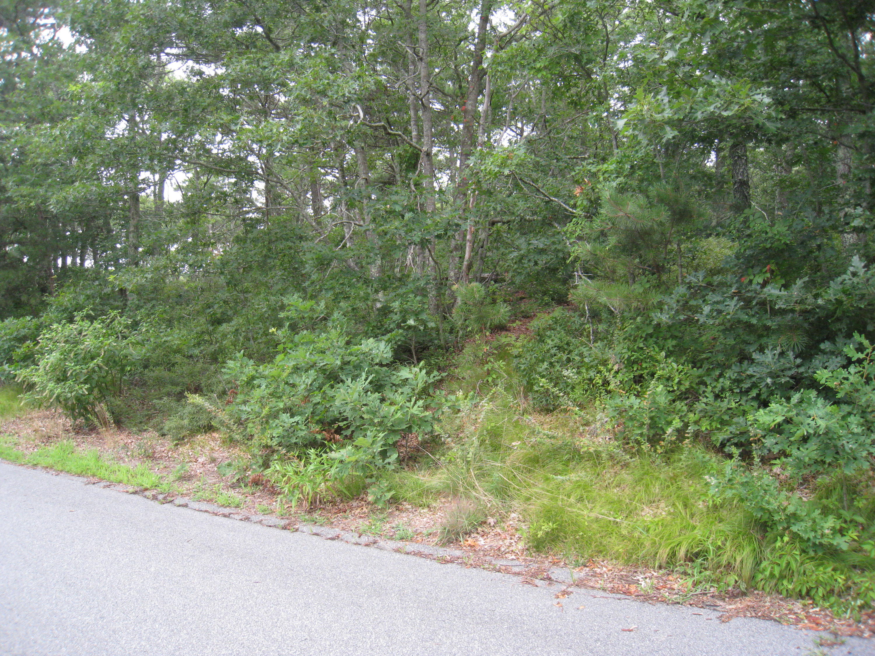 429 Cap'n Lijah's Road Barnstable MA 02632