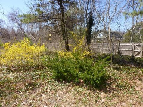 21 Seascape Lane Dennis MA 02670