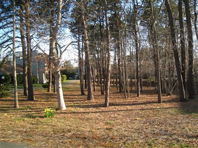 481 Buck Island Road Yarmouth MA 02673