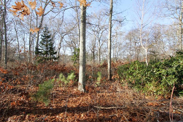 147 Tonset Road Orleans MA 02653