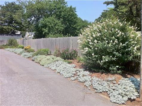689 Willow Street Yarmouth MA 02664