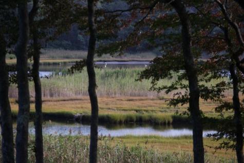 138 Saconesset Road Falmouth MA 02540