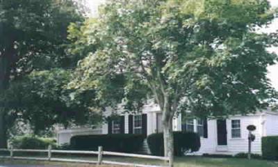 151 Main Street Chatham MA 02633