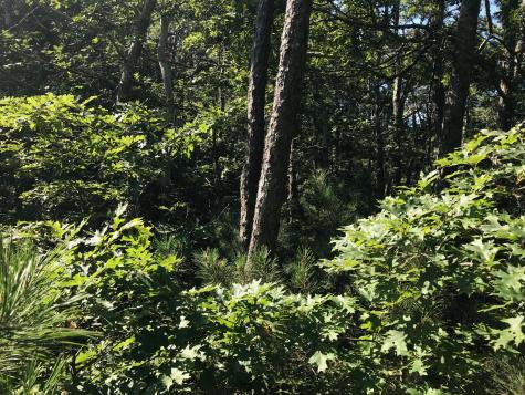 434 Old Bass River Road Dennis MA 02660