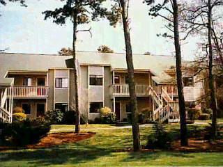 Brewster MA 02631