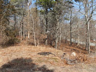 Orleans MA 02653