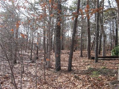 Orleans MA 02653