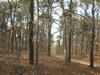 197 Mitchell Lane Brewster MA 02631