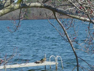 Barnstable MA 02632