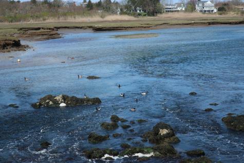 25 Ryder Lane Barnstable MA 02637