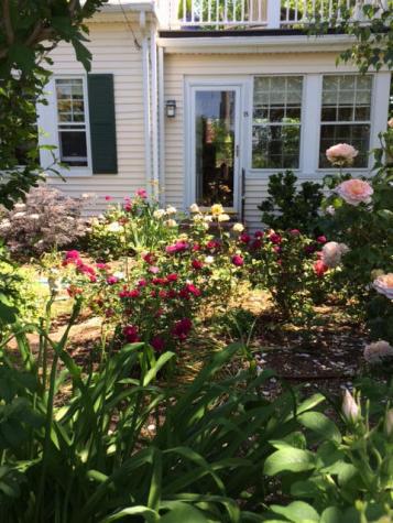 15 Brewster Street Provincetown MA 02657
